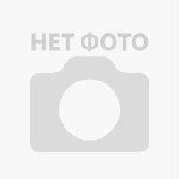 Бондарева  Юлия Валерьевна  Заместитель Главы сельского поселения Подбельск