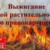 В регионе особый противопожарный режим!